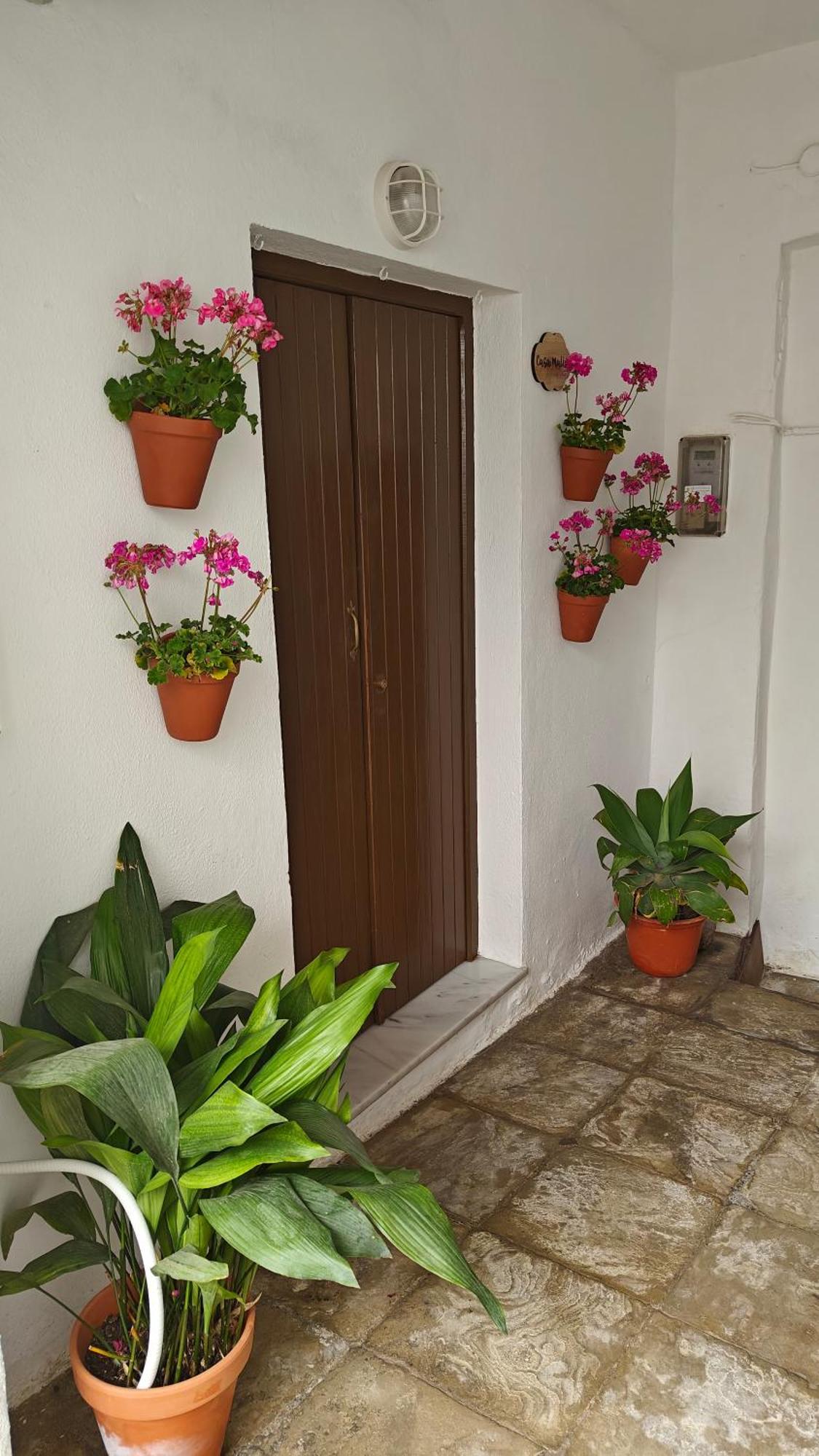 Casa Malia Recien Reformado En Centro Apartamento